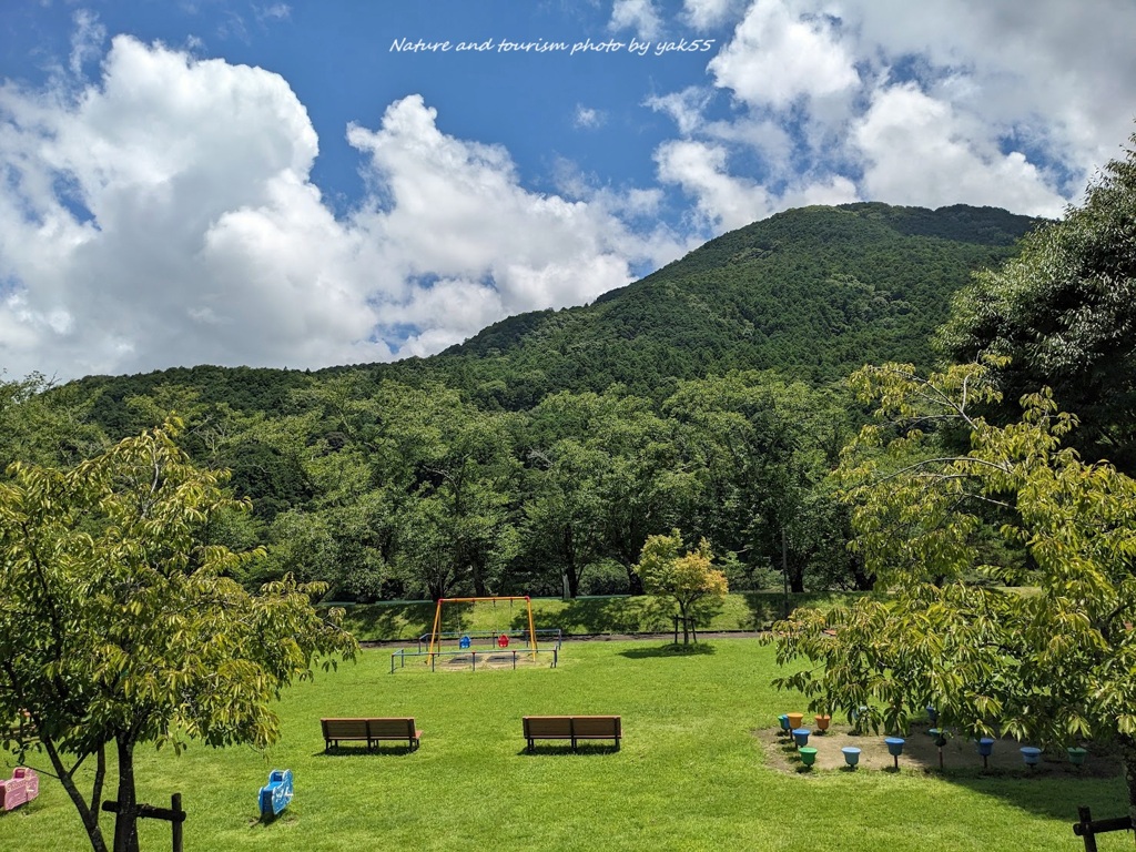 真夏の公園