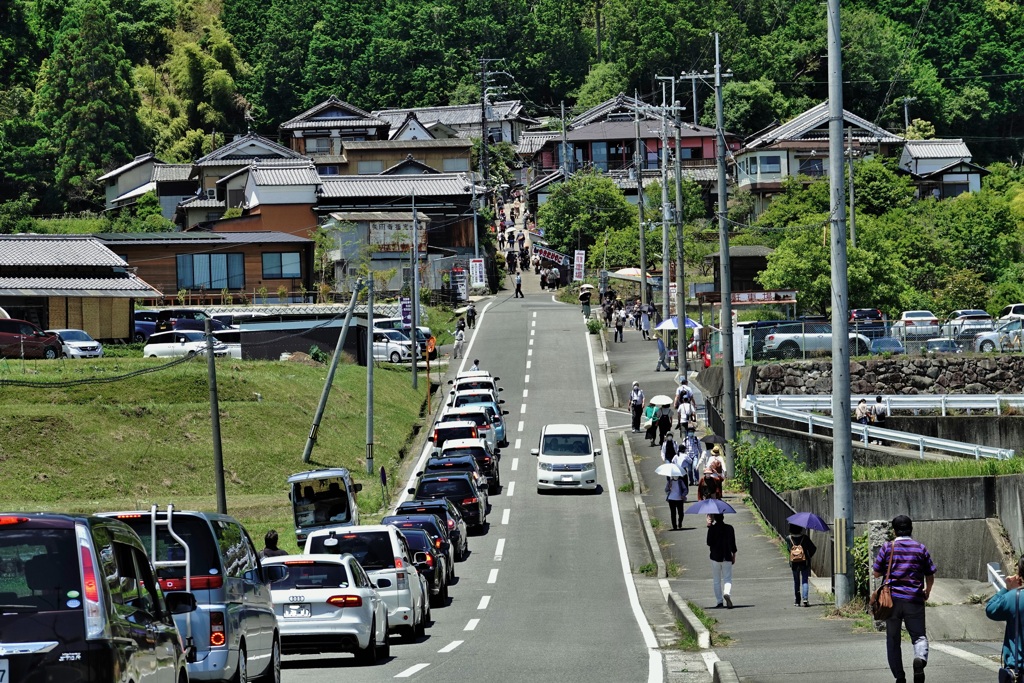 駐車待ち・・（矢田寺・参道）