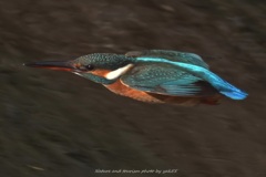 冬のハイスピード