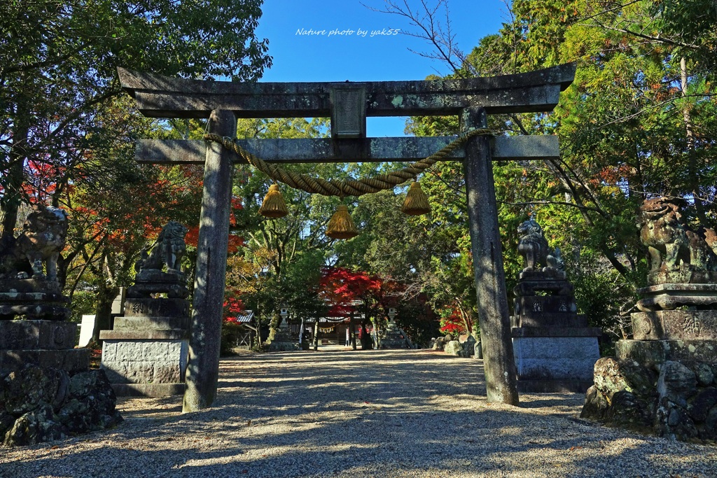 師走の神社