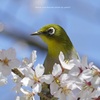良き季節でした
