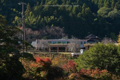 秋のJR  