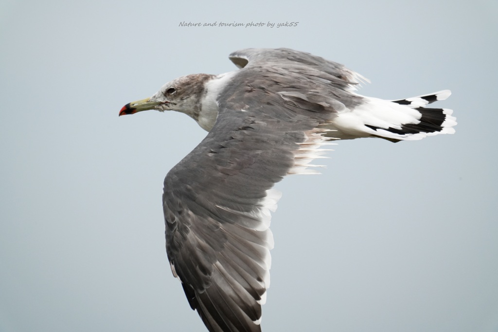 秋の海岸線で・・