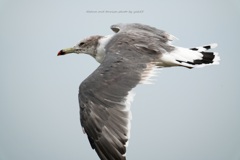 秋の海岸線で・・ 秋の海岸線で・・