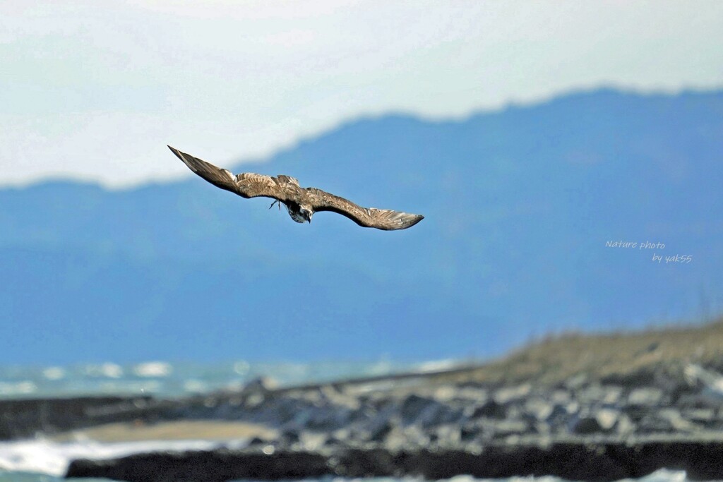 大荒れの海でロックオン