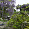 春の庭園