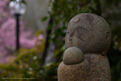 お地蔵さんも春が・・