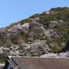 沿岸線から見る春