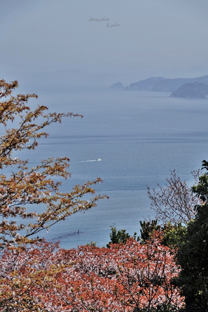 海岸線の春