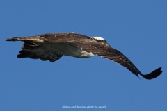 師走を駆けるⅡ