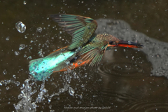 スプラッシュGET