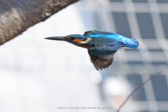 ハイスピーダー