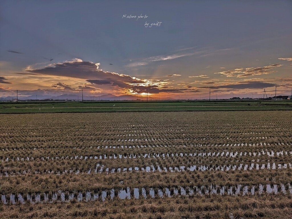 ９月４日夕刻・・（いつものウォーキング）