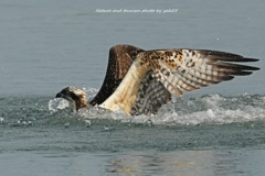 晩秋を生きるⅡ