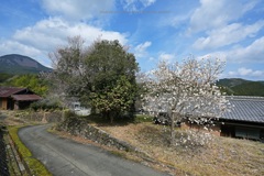 春の里山