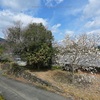 春の里山