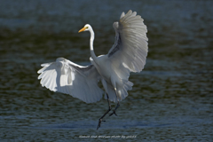 エアーブレーキ