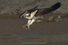 師走のハイスピード