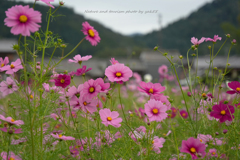里山の秋 里山の秋