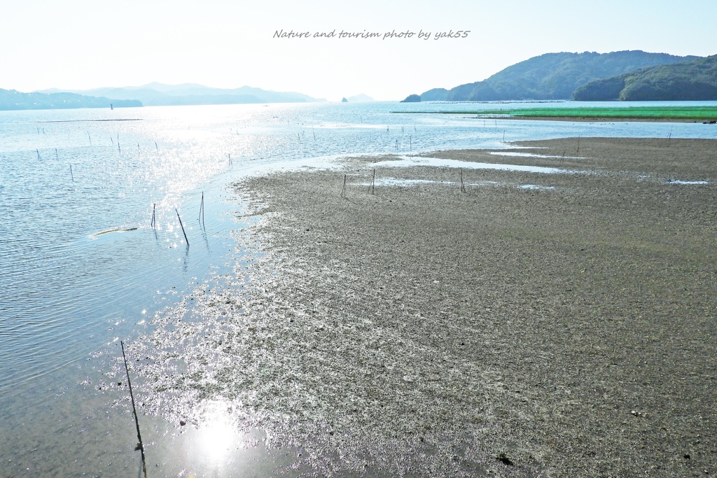 暖かい睦月の干潟