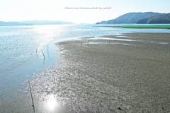 暖かい睦月の干潟