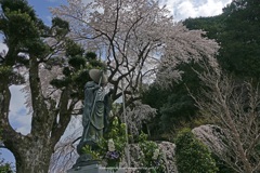 春のお地蔵さんⅡ