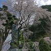 春のお地蔵さんⅡ