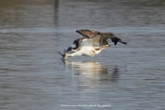 師走を乗り切る