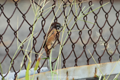 食欲の秋