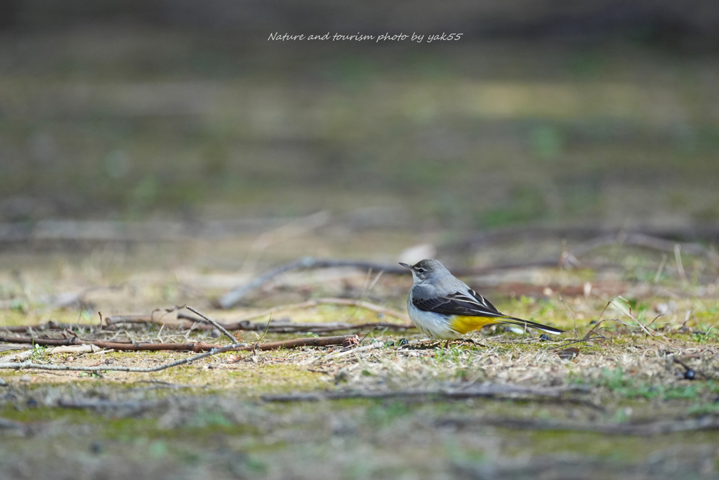 木漏れ日の中に