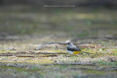 木漏れ日の中に