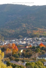 師走の街を高台から