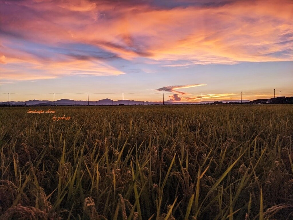 8.05 夏夕景