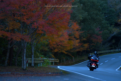 晩秋ワイディング