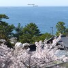 海岸線の春