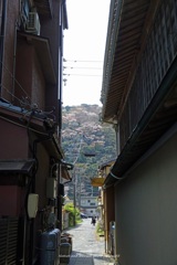 路地から見る春