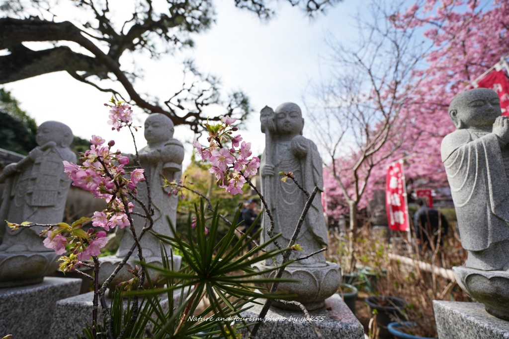春のお地蔵さん