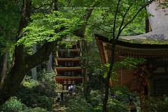 国宝・本堂（室生寺）