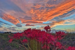 秋の夕刻