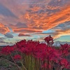 秋の夕刻