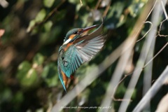 エアーブレーキ