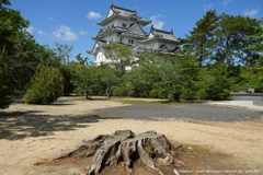 伊賀上野城