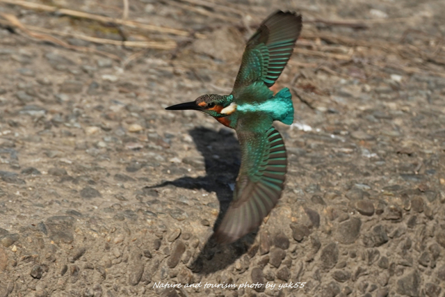 さ～仕事仕事～