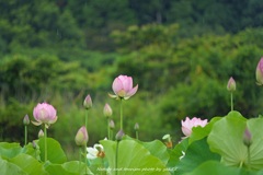 突然の雨Ⅱ
