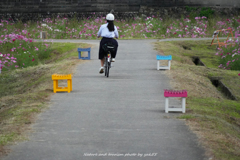 秋の下校道 秋の下校道