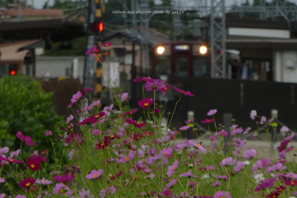 駅