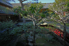 中庭（賓日館）