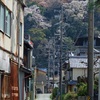 路地の春