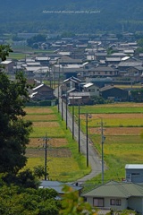真夏日の城下