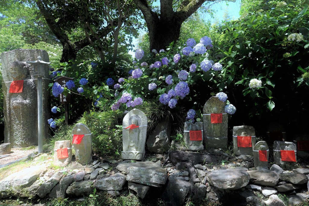 水無月のお地蔵さん（奈良・矢田寺）